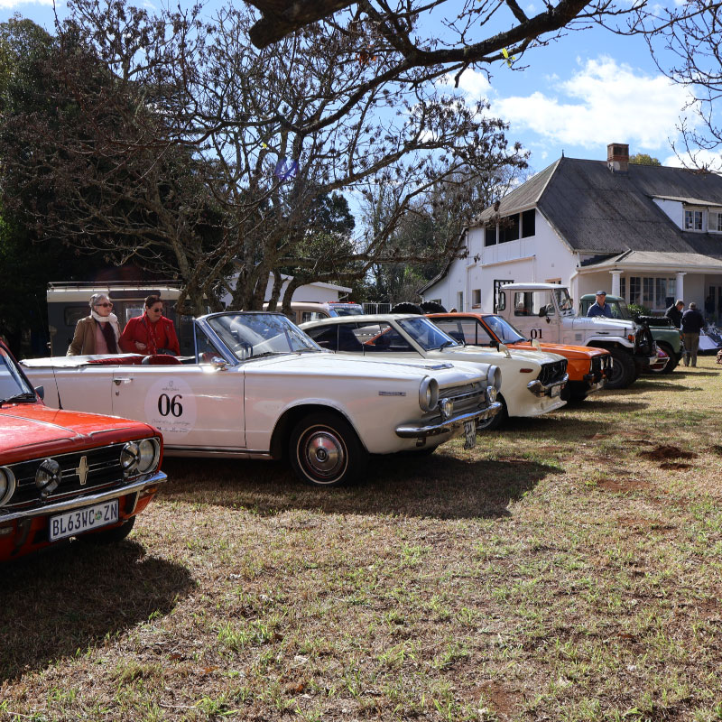 ag-car-tour-gallery-06