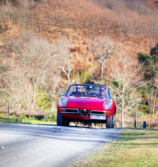 https://amberglades.co.za/wp-content/uploads/2026/03/car-tour2.jpg